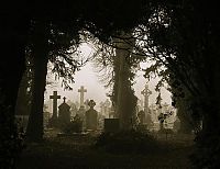 Trek.Today search results: graveyards around the world