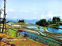 Trek.Today search results: paddy fields, rice terraces
