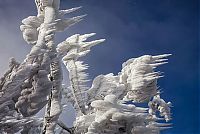 Extreme windswept ice formations by Marko Korošec, Mount Javornik, Dinarides, Slovenia