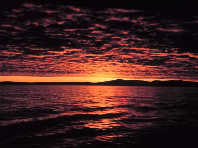 beauty of nature