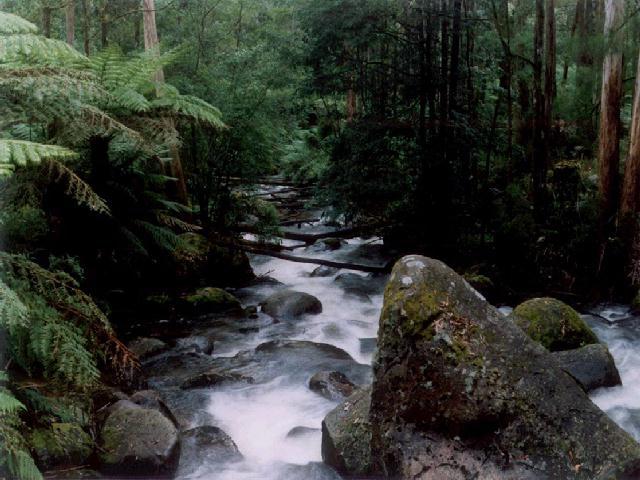 beauty of nature