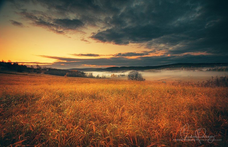 nature photographs (c) andreas stridsberq