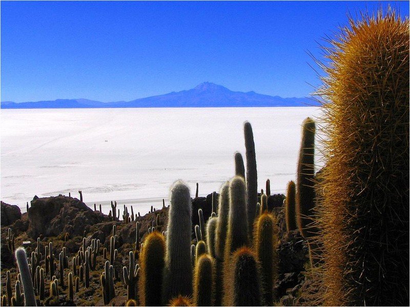 Plains of the Altiplano, Bolivia, Spanish Salar de Uyuni mirror