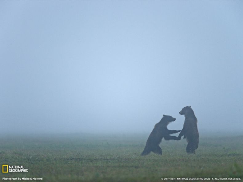 National Geographic Photography