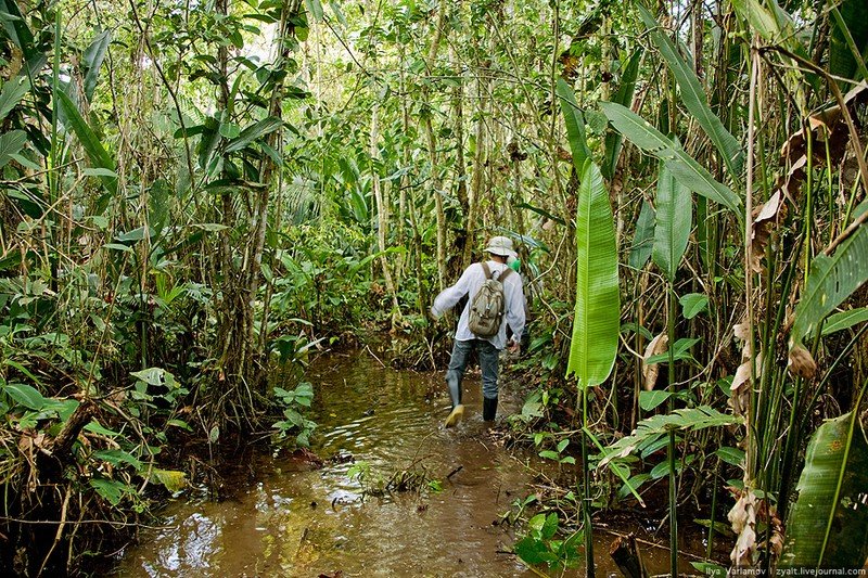 survival course in the jungle