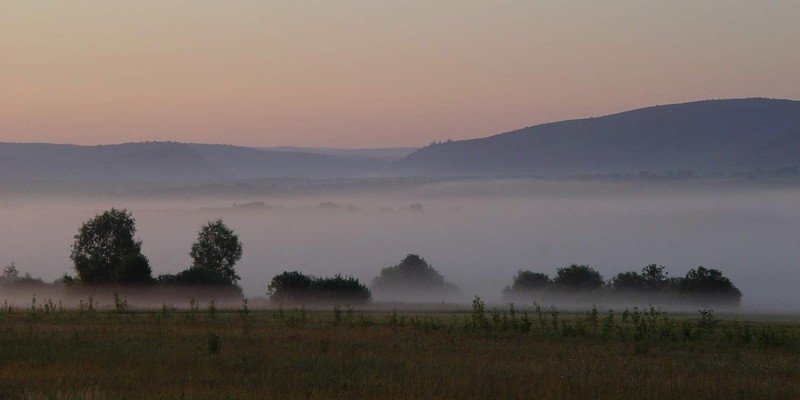 fog photography