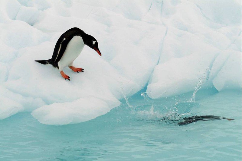 Antarctic Plateau, Antarctica