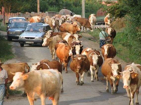 Traffic jam in the world