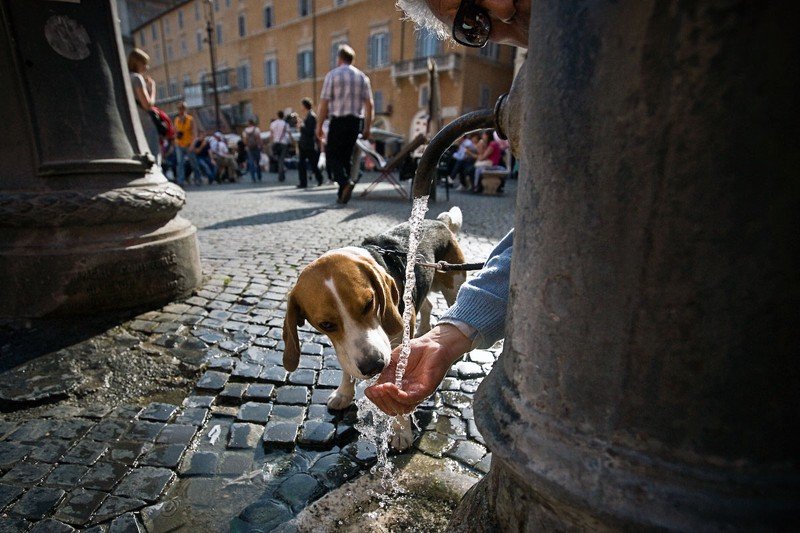 Life in Rome, Italy