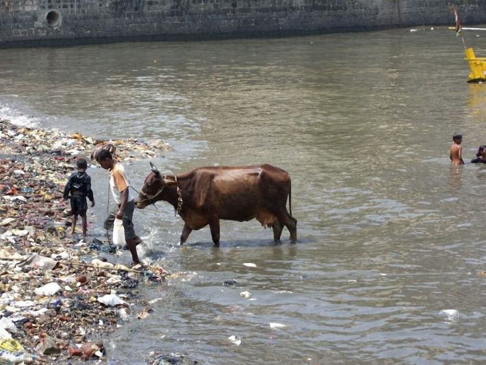 Crisis in Mumbai, Western India