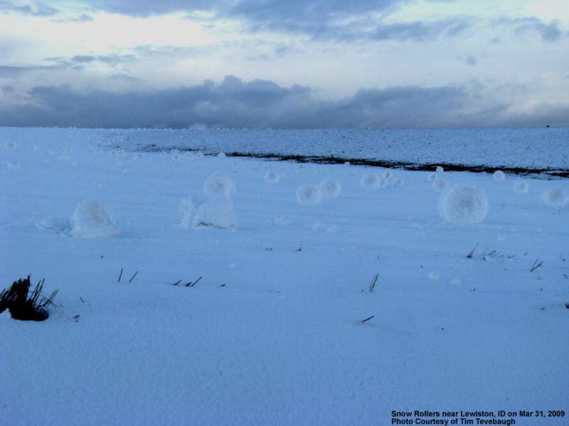 Snow rolls, unique natural phenomenon