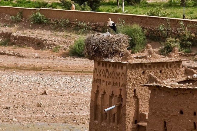 The fortress at the river, Casbah Ait-Ben-Haddou