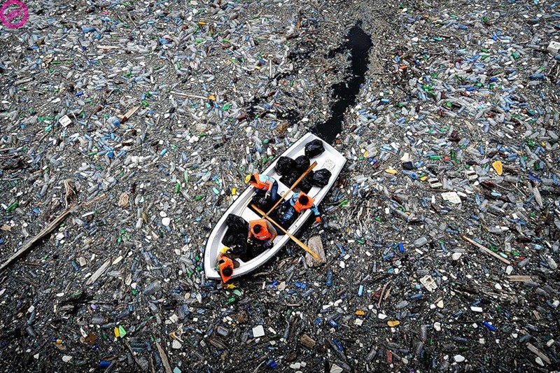 Great Pacific Garbage Patch