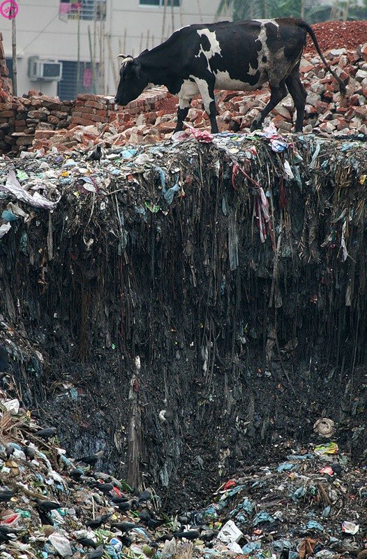 Great Pacific Garbage Patch