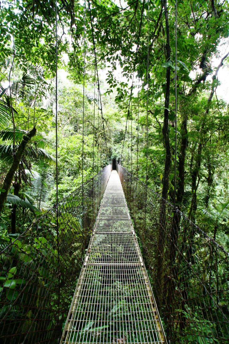 dangerous bridges