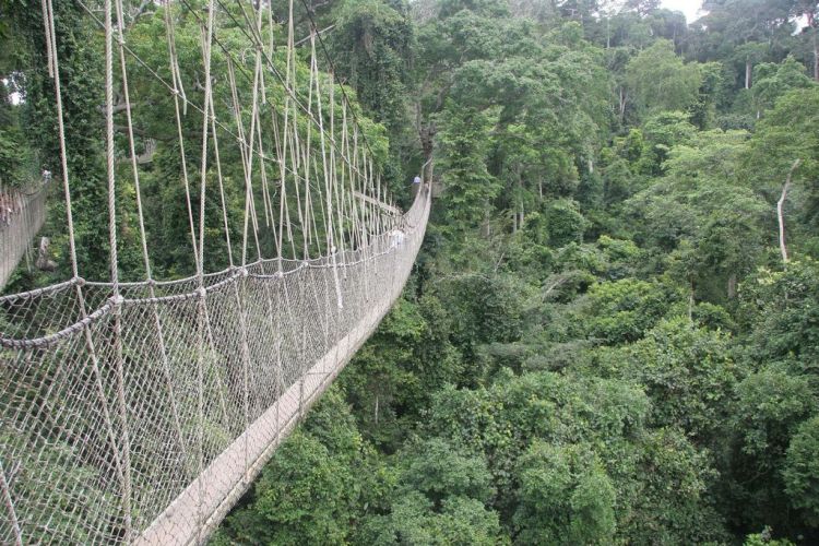 dangerous bridges