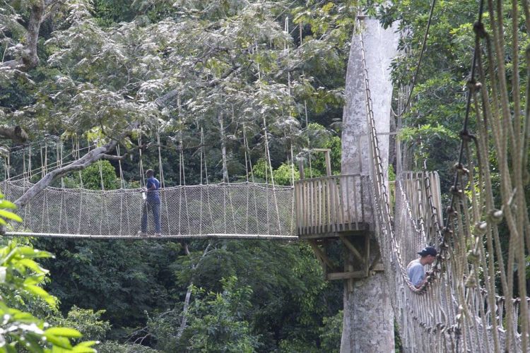 dangerous bridges