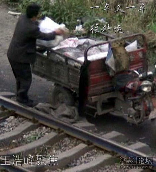 The coal mafia in China