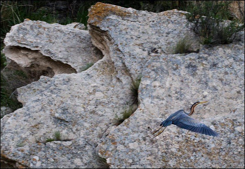 Trip to West Kazakhstan, Mangyshlak Peninsula