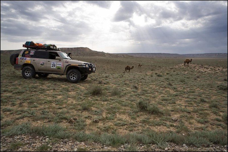 Trip to West Kazakhstan, Mangyshlak Peninsula