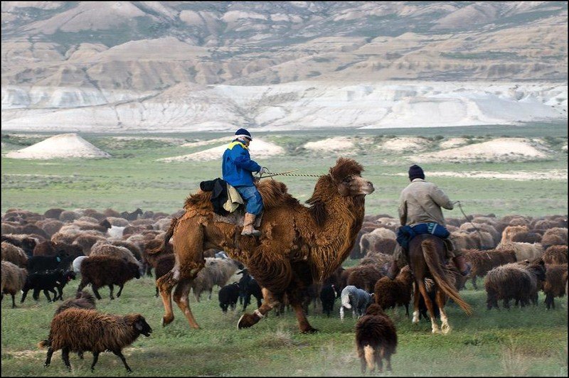 Trip to West Kazakhstan, Mangyshlak Peninsula