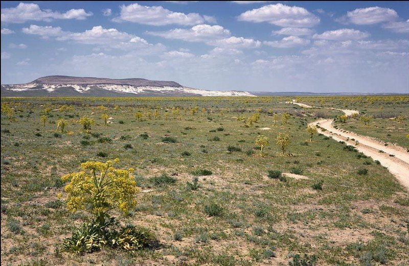 Trip to West Kazakhstan, Mangyshlak Peninsula