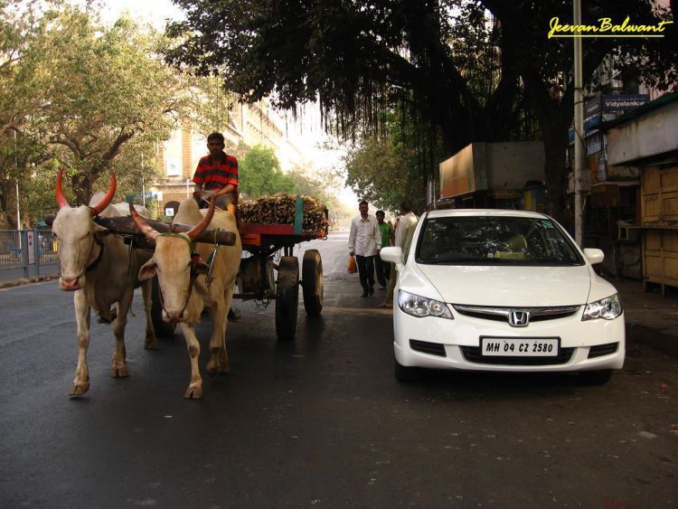 Life in India