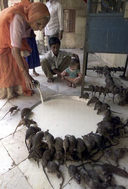 Life in India