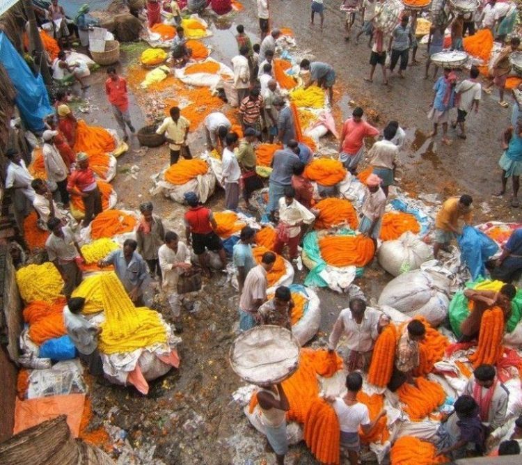 Life in India