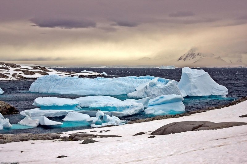 iceberg