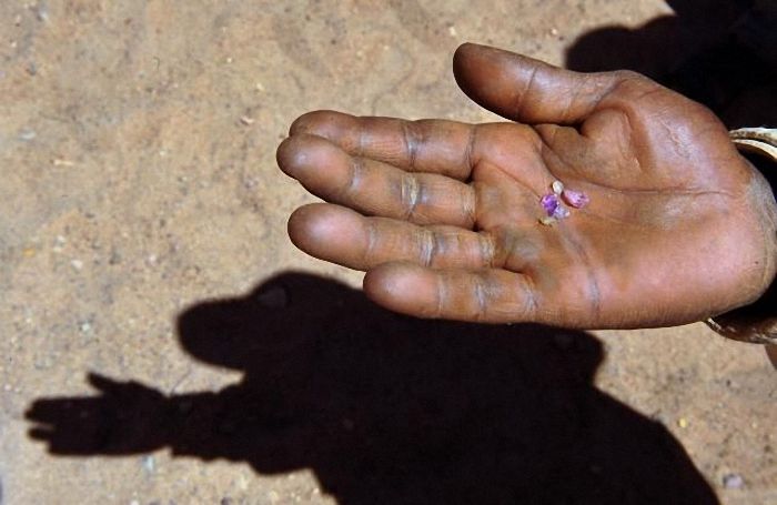 Extraction of sapphires, Madagascar