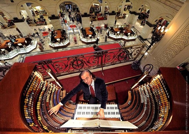 largest organ in the shopping center