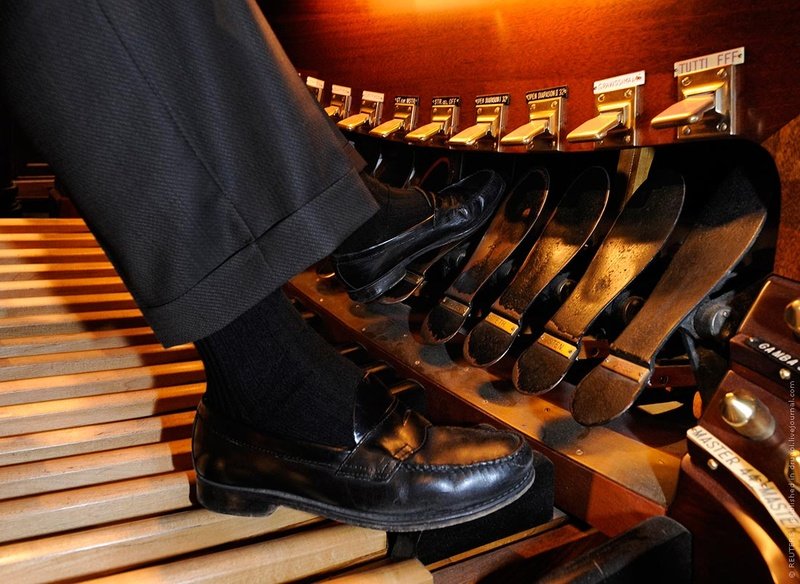 largest organ in the shopping center