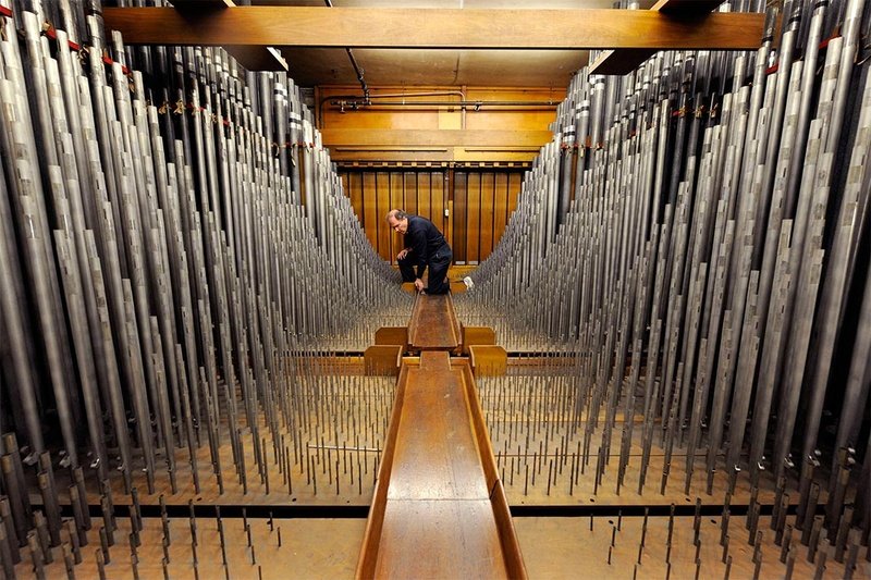 largest organ in the shopping center