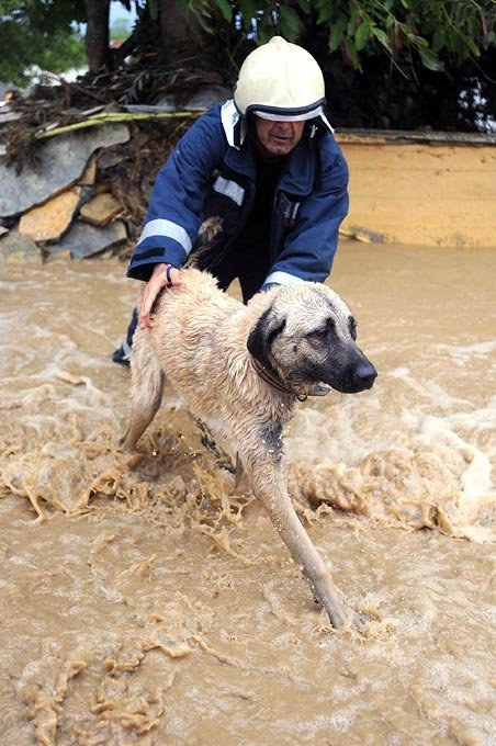 Second world flood, Turkey