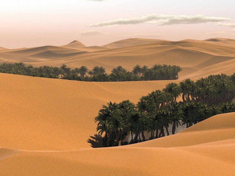 desert sand dunes landscape photography