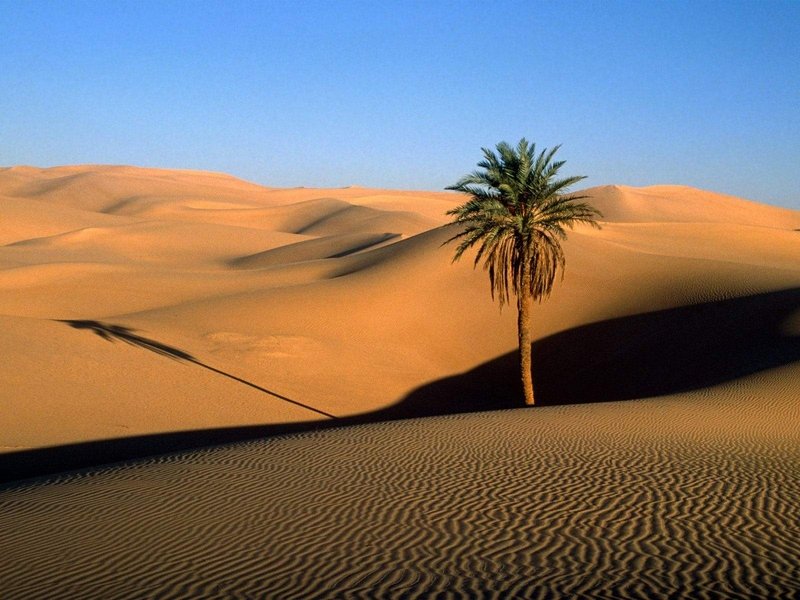 desert sand dunes landscape photography