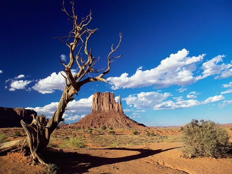 desert sand dunes landscape photography