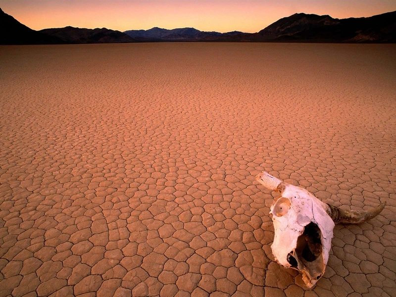 desert sand dunes landscape photography