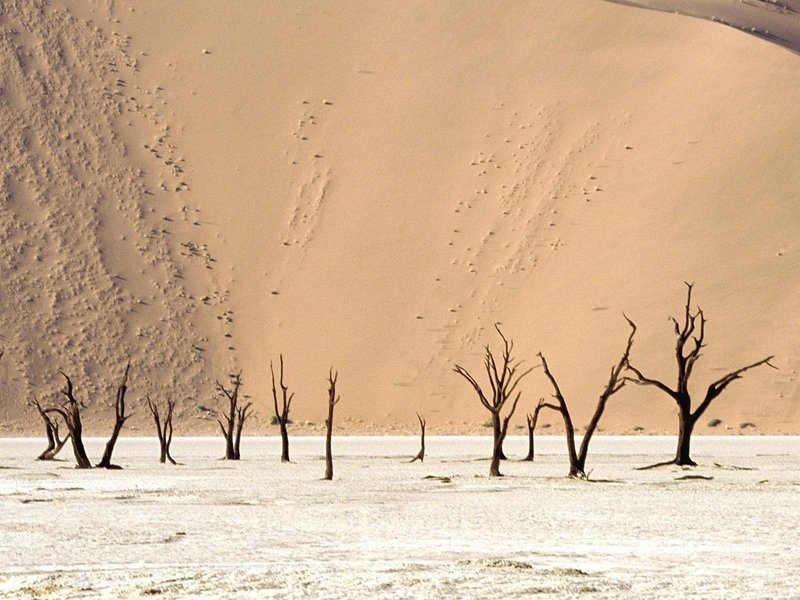 desert sand dunes landscape photography