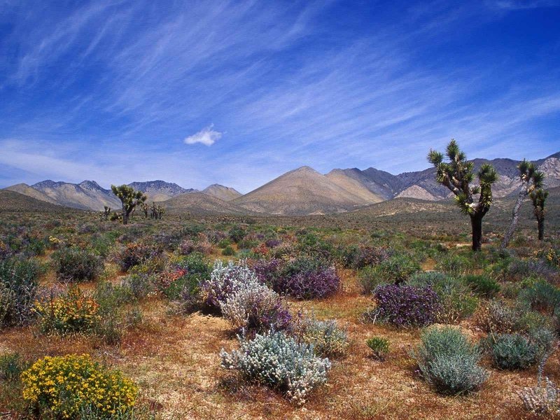 desert sand dunes landscape photography