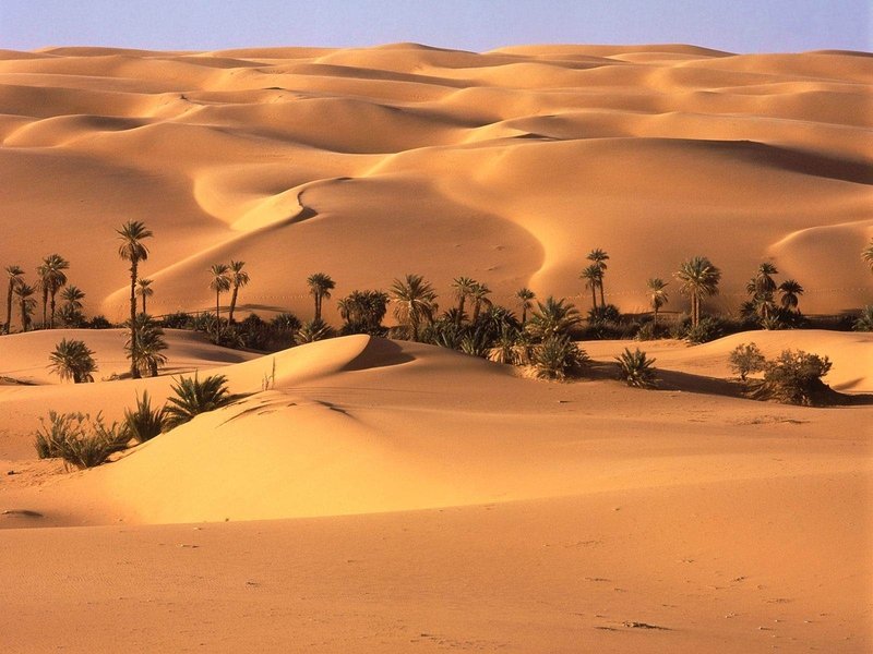 desert sand dunes landscape photography