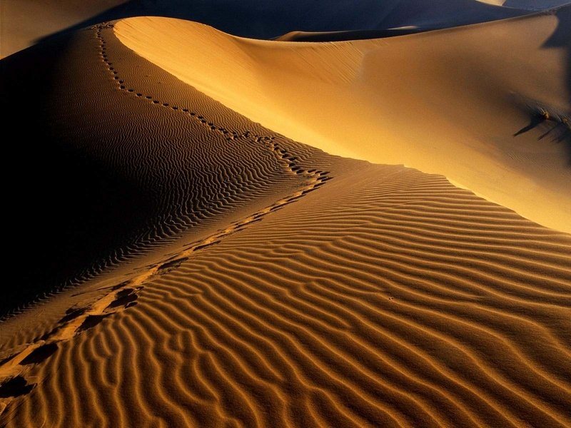 desert sand dunes landscape photography