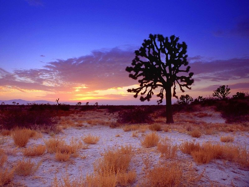 desert sand dunes landscape photography