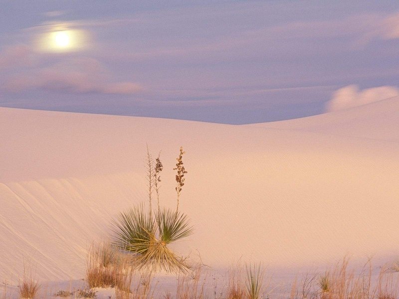 desert sand dunes landscape photography