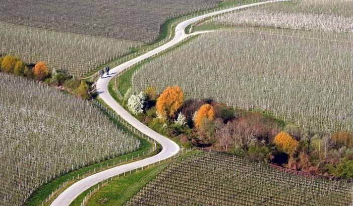 bird's-eye view aerial landscape photography