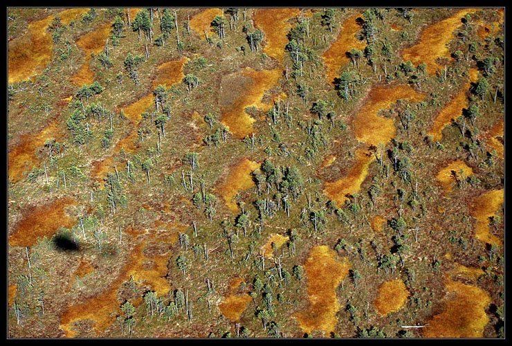 Bird's-eye view of Russia