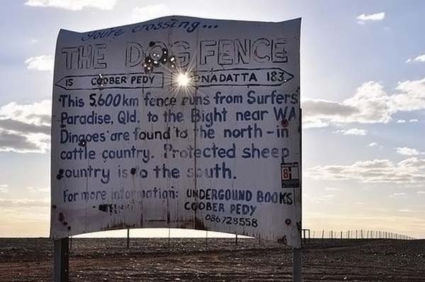 The longest fence in the world, 5614 km, Australia