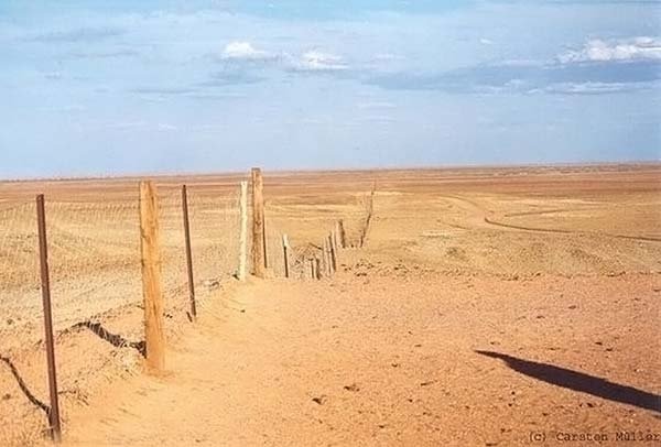 The longest fence in the world, 5614 km, Australia