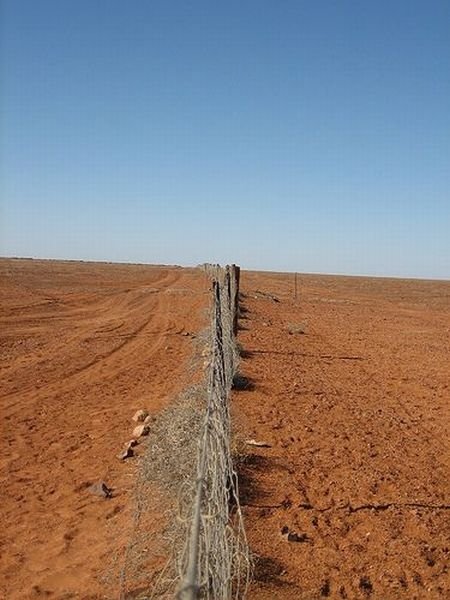 The longest fence in the world, 5614 km, Australia